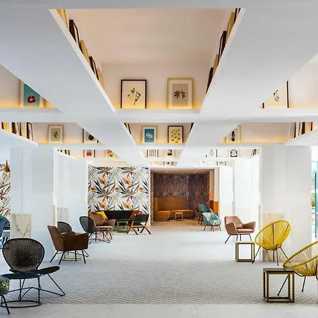 Zefir Słoneczny Brzeg